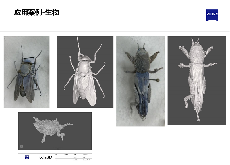 三維藍光掃描-生物