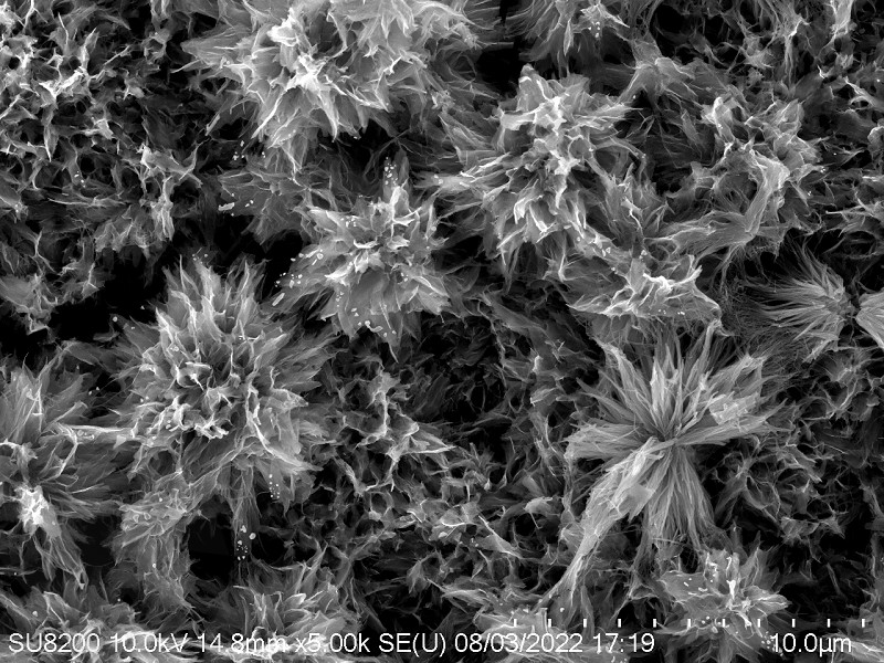 TiO2復合材料表面微觀形貌分析檢測