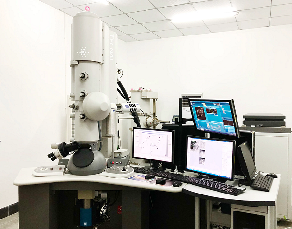 場發射掃描電鏡