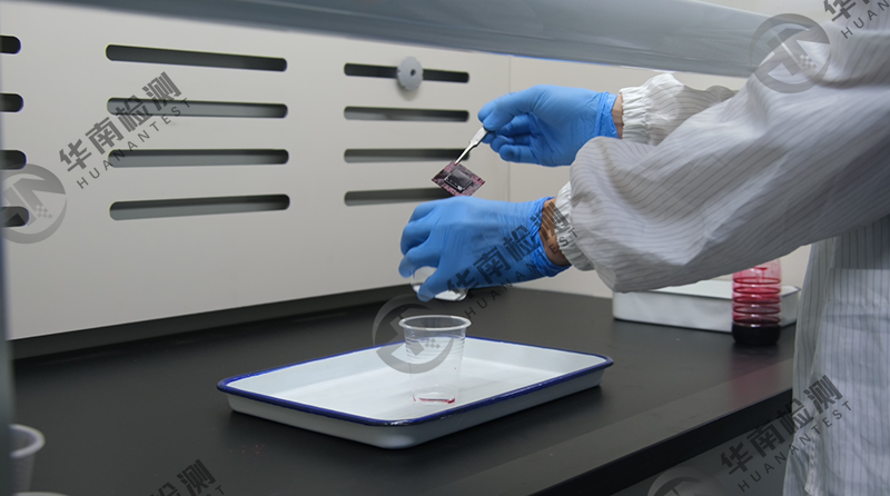 什么是紅墨水試驗？紅墨水試驗能做什么？