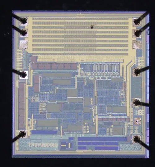 芯片鑒定機(jī)構(gòu)