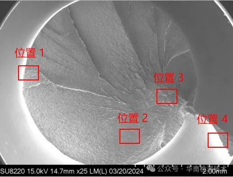 電鏡掃描SEM分析