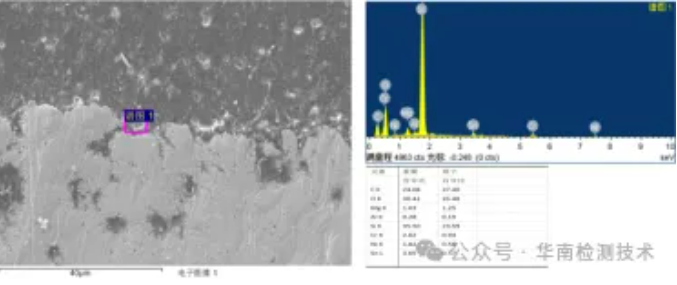 失效分析機構(gòu)