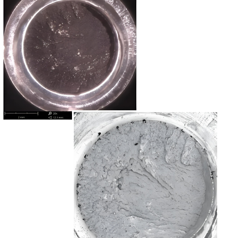 掃描電鏡（SEM）分析