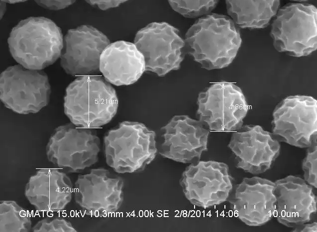 掃描電鏡（SEM）分析