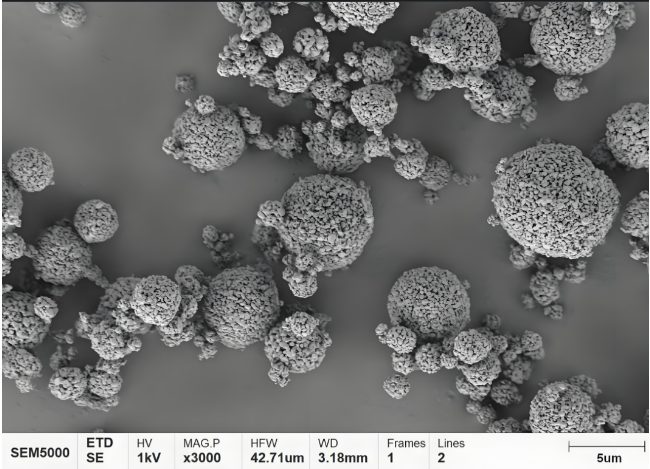 掃描電鏡（SEM）分析
