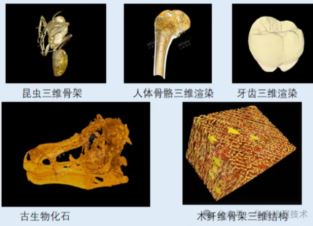 考古文博工業CT檢測服務