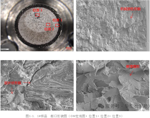 電機軸斷裂失效分析