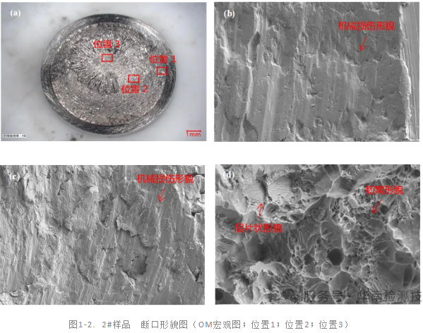 電機軸斷裂失效分析