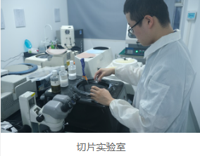 破壞性物理分析