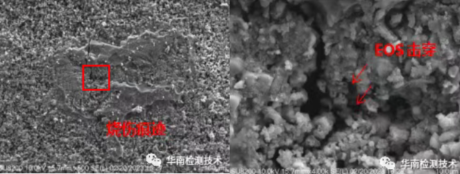 電容失效分析SEM微觀分析