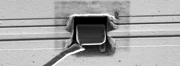 掃描電子顯微鏡